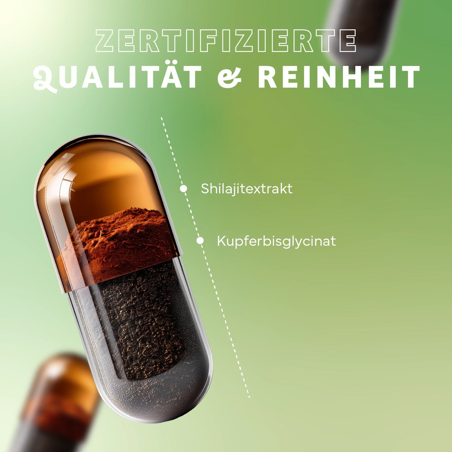 Mumijo Shilajit (60 Kapseln)