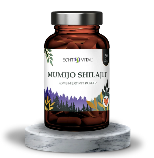 Mumijo Shilajit (60 Kapseln)