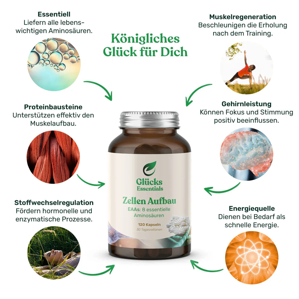 Zellenaufbau (essentielle Aminosäuren)
