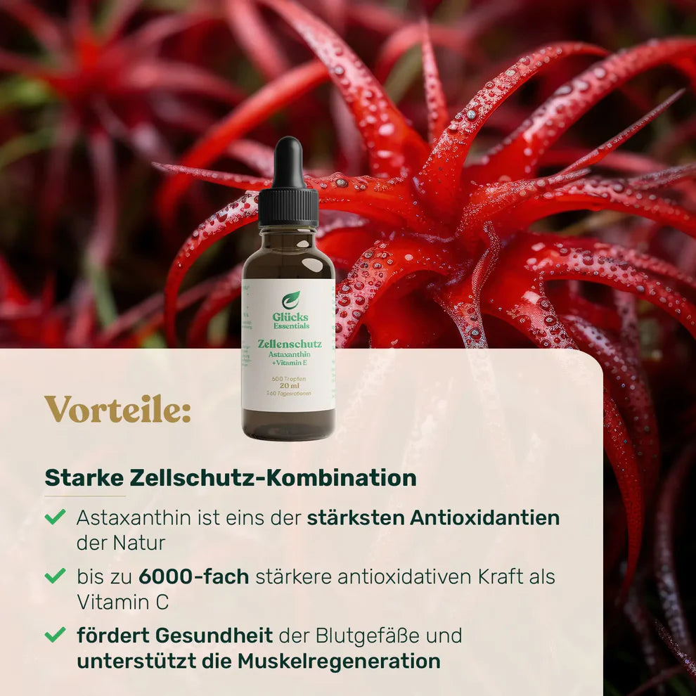 Zellenschutz (Astaxanthin+Vitamin E)