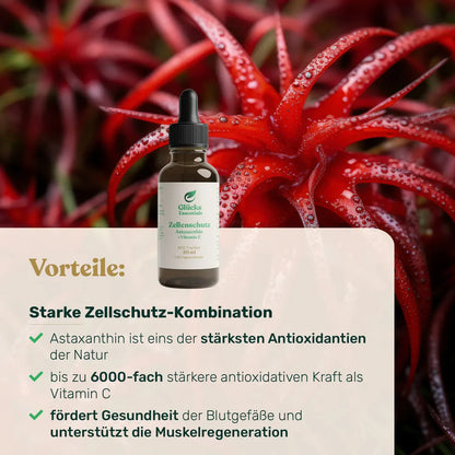 Zellenschutz (Astaxanthin+Vitamin E)