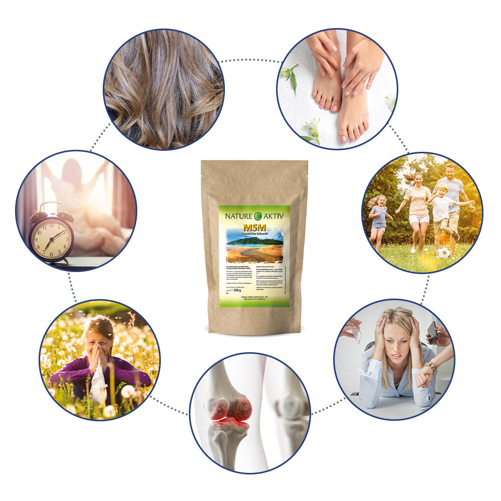 Nature Aktiv MSM Pulver (500g)