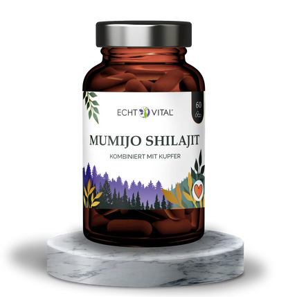 Mumijo Shilajit (60 Kapseln)
